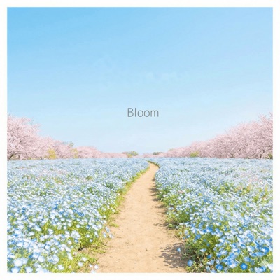 Bloom ジャケット